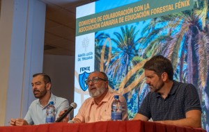 Santa Luc�a elaborar� un inventario t�cnico del palmeral de La Sorrueda 