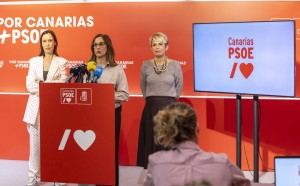 El PSOE lleva al Parlamento canario la crisis de la vivienda y la huelga m�dica