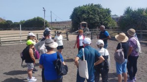 Ingenio contin�a impulsando el envejecimiento activo y saludable con talleres y experiencias para las personas mayores