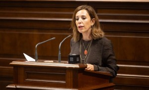 Canarias prepara una ley para proteger a los residentes en zonas tur�sticas